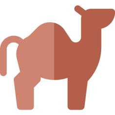 Camel