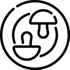 蘑菇