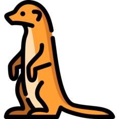 狐獴