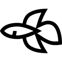 Siamese fighting fish