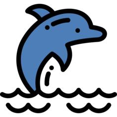 海豚