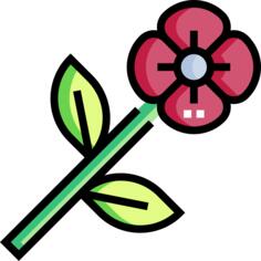 罂粟