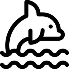 海豚