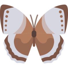 蝴蝶