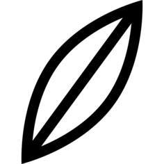 Surfboard