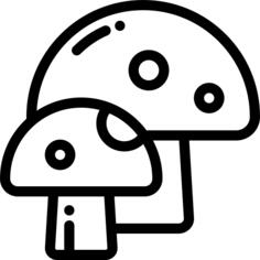蘑菇