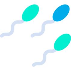 Sperm