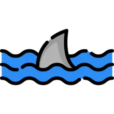 Shark