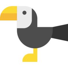 Toucan