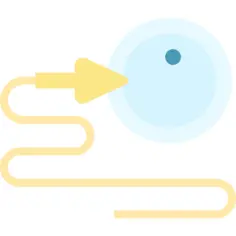 Fertilization