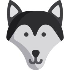 Siberian husky