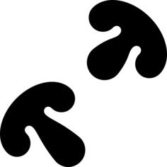 蘑菇