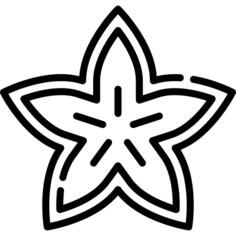 杨桃