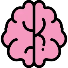 Brain