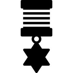勋章