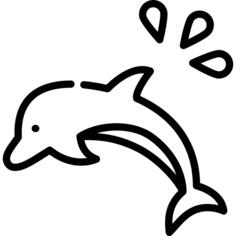 海豚