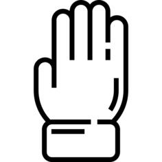 Glove