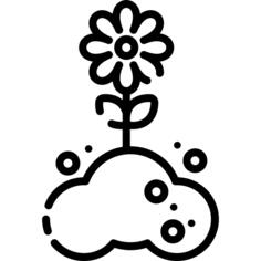 发芽