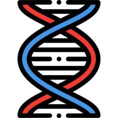 Dna