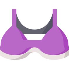 Bra