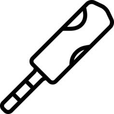 Cricket bat