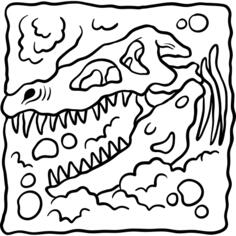 Fossil