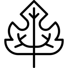 枫叶