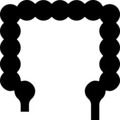 Intestine