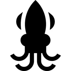 Squid