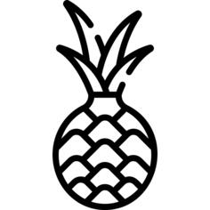 菠萝