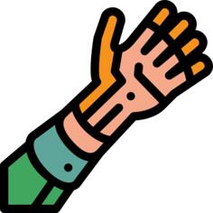 Bionic arm