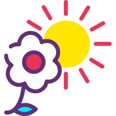 Photosynthesis