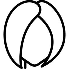 Woman hair