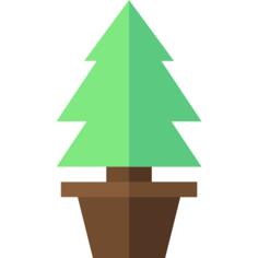 Pine