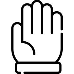 Glove