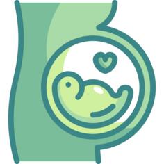 Pregnancy