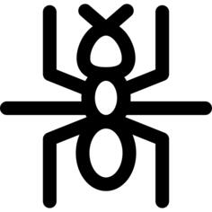 Ant