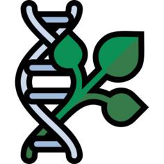 Dna