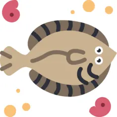 Flounder