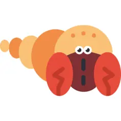 Hermit crab