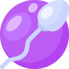 Spermatozoon