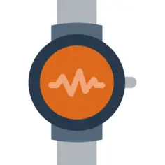 Wristwatch