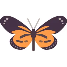 蝴蝶