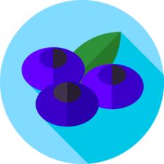 Blueberry