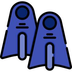 Fin