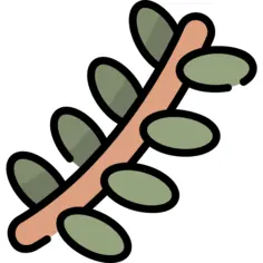 Branch