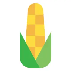 玉米
