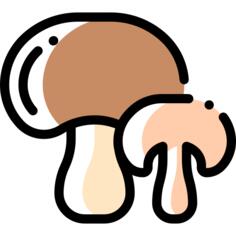 蘑菇