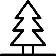 Pine