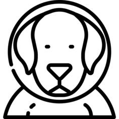 狗